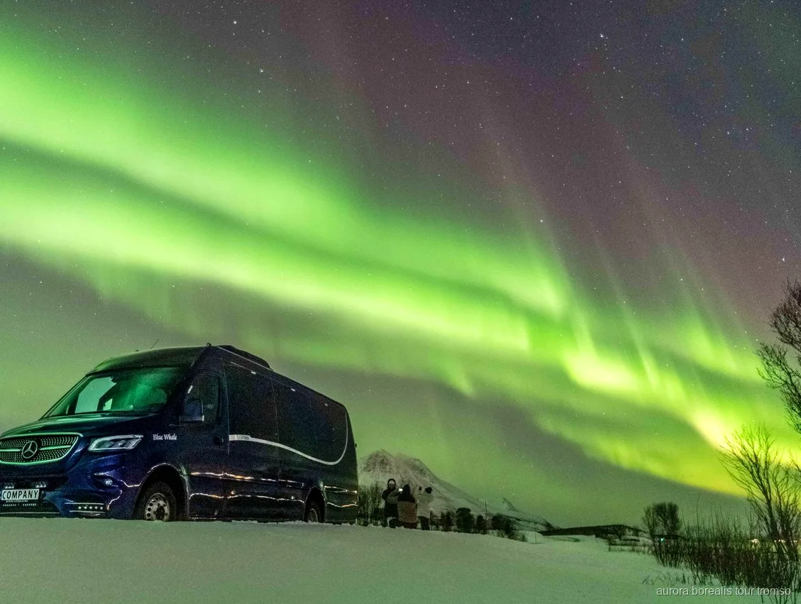 Convidados em fatos térmicos à espera da aurora boreal perto de Tromso