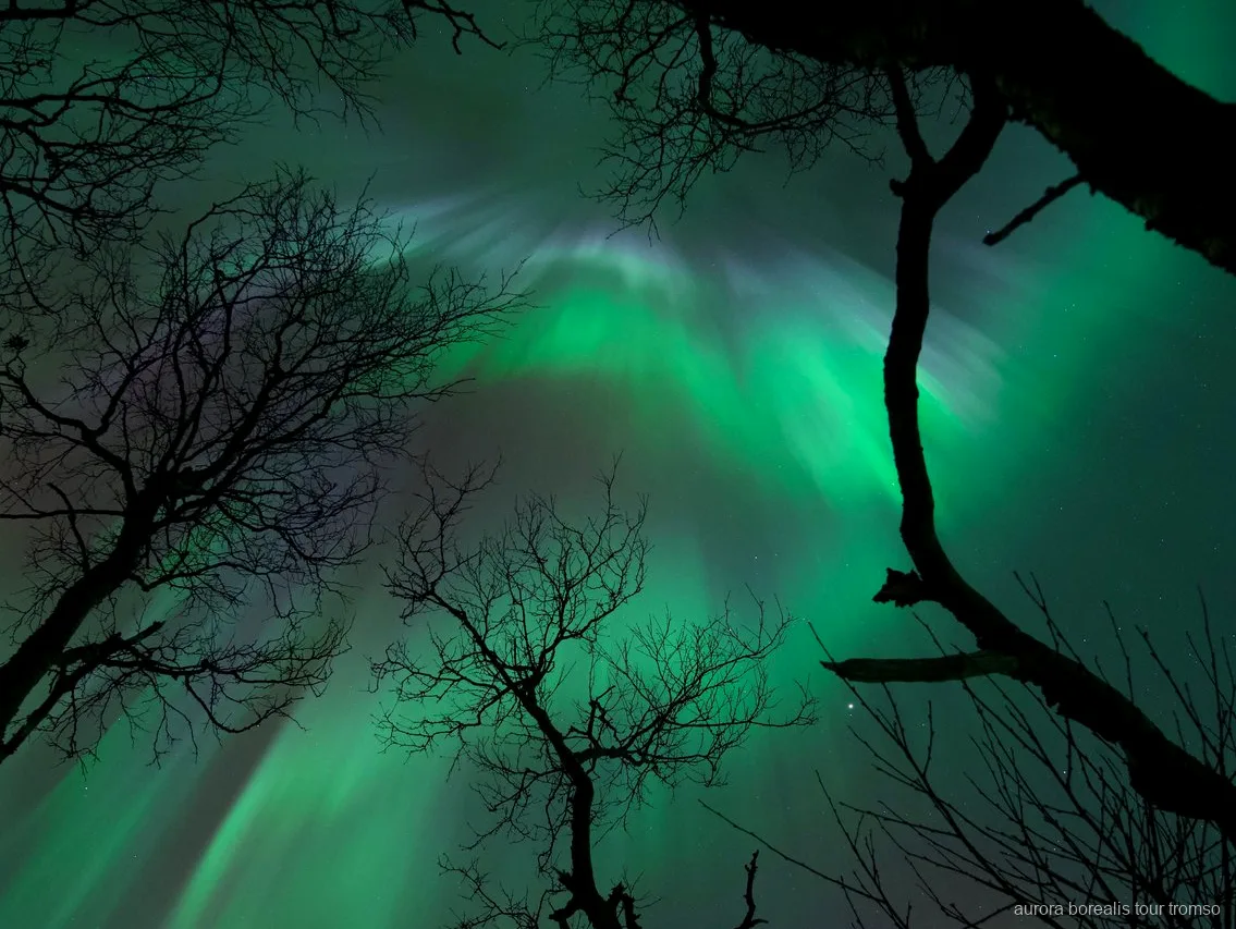 Guia fent un retrat professional sota l'aurora boreal a prop de Tromsø