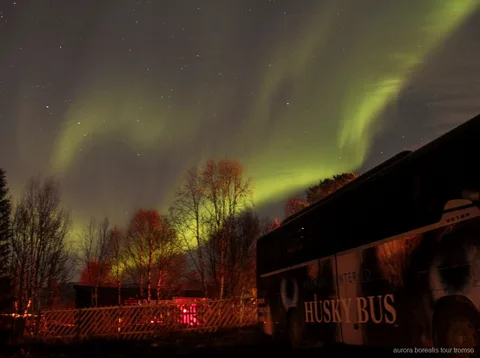 Dîner chaud de bacalao servi au camp de chiens de traîneau de Tromsø