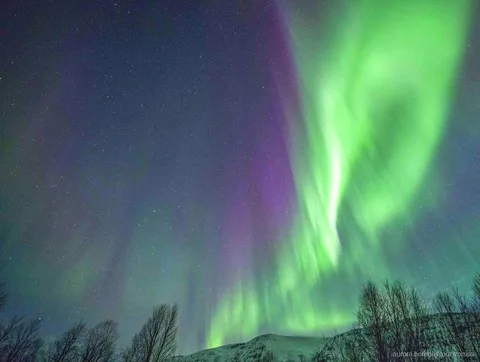 Gæster nyder en varm middag om bålet på Tromsøs nordlys middagstur