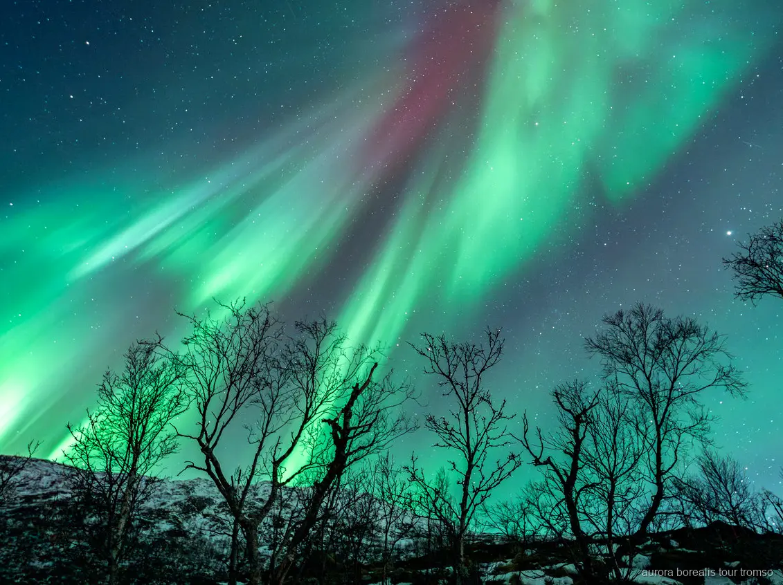 Tromso yakınında rehber talimatıyla kuzey ışıklarını fotoğraflayan misafirler