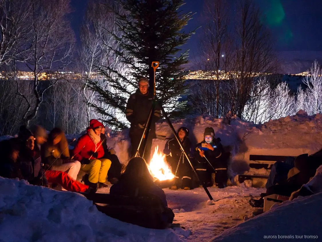 Tromso kuzey ışıkları turunda kampta yer alan husky yavruları