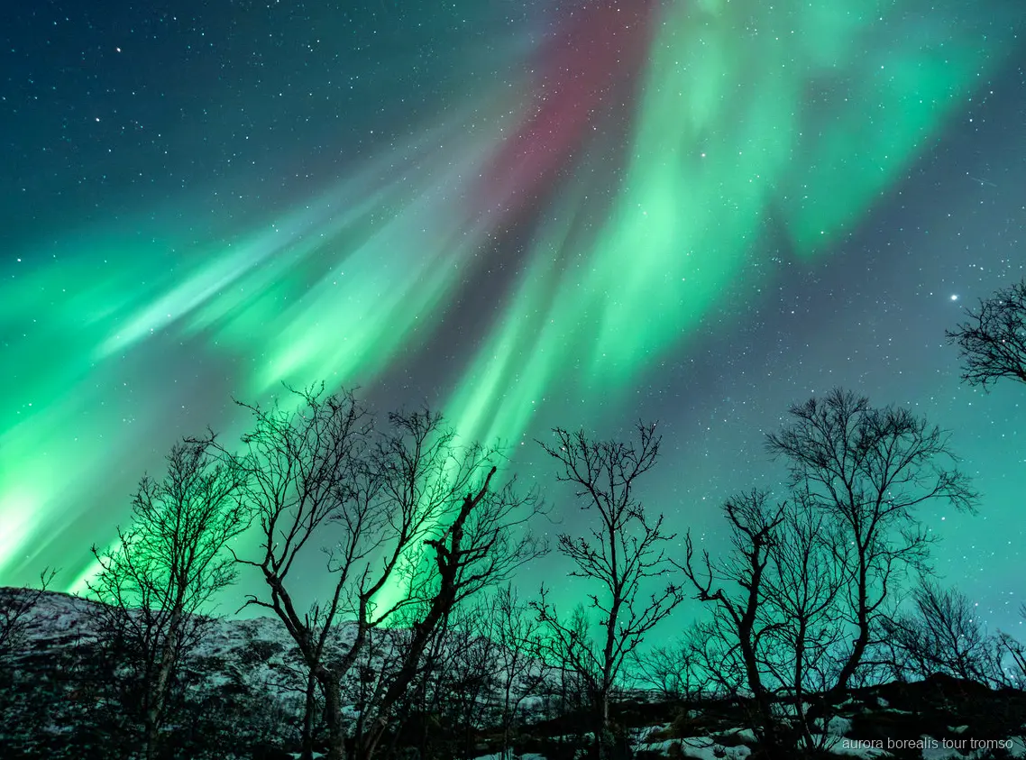 Gæster fotograferer nordlyset med guideundervisning nær Tromsø