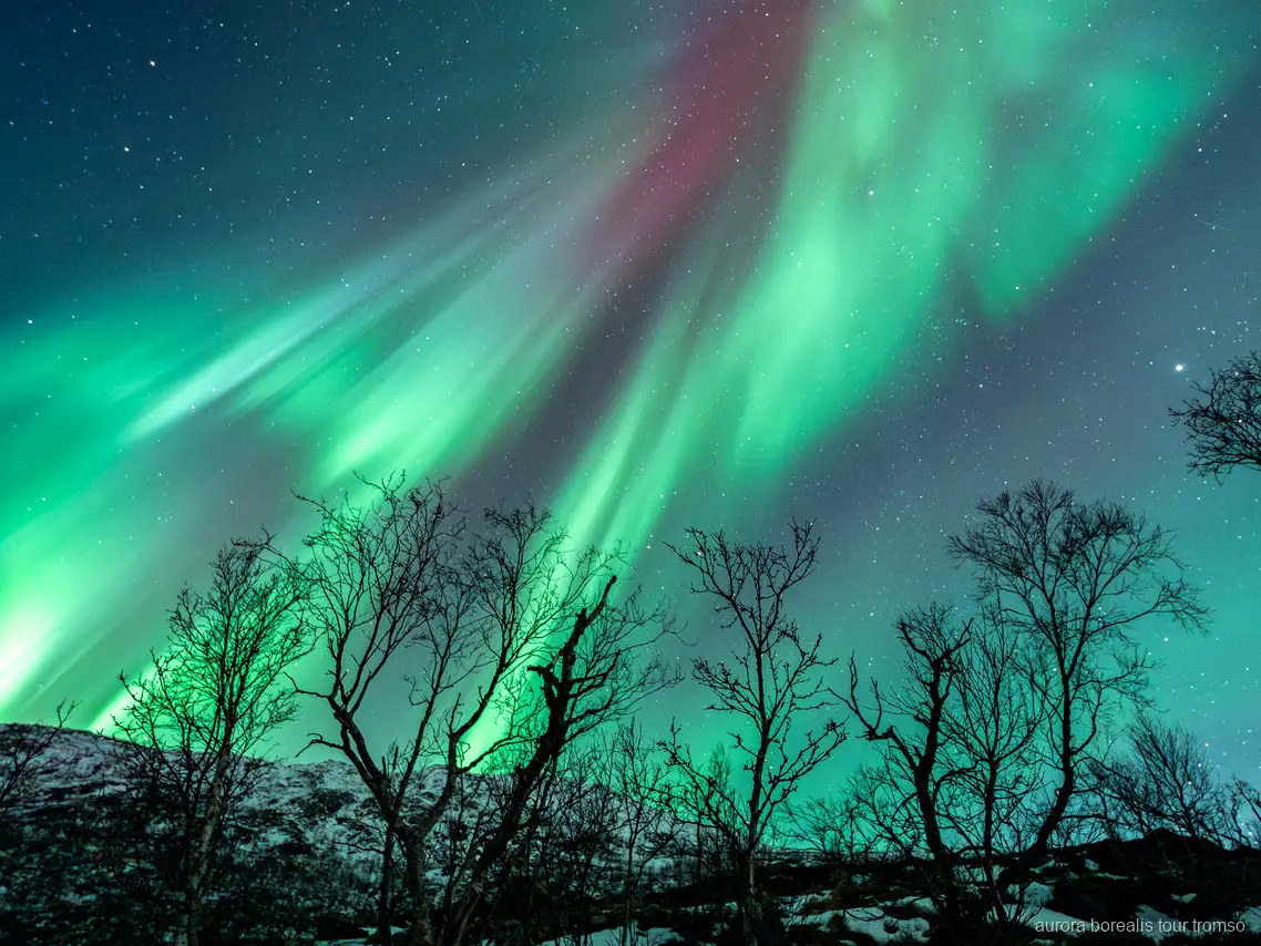 Gäster fotograferar norrskenet med guidens instruktion nära Tromsö