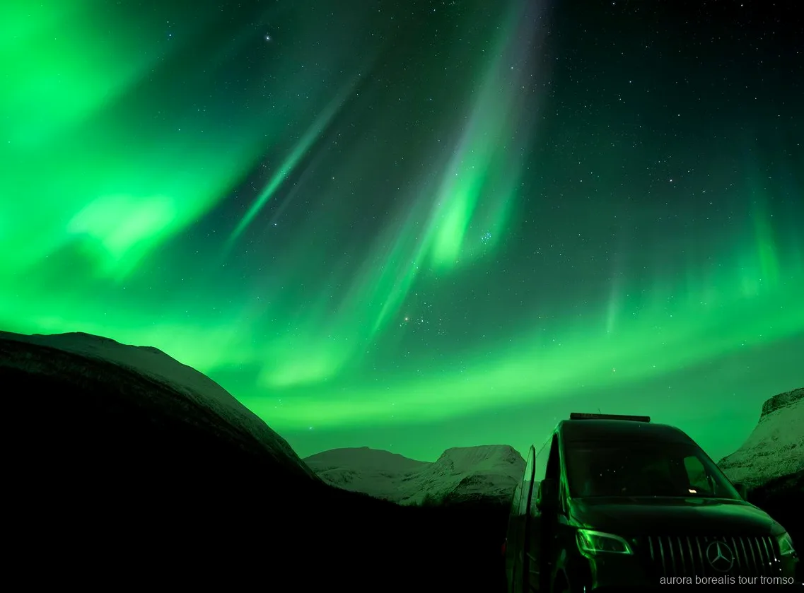 Mercedes Sprinter minibus used on the Tromso family-run Northern Lights tour