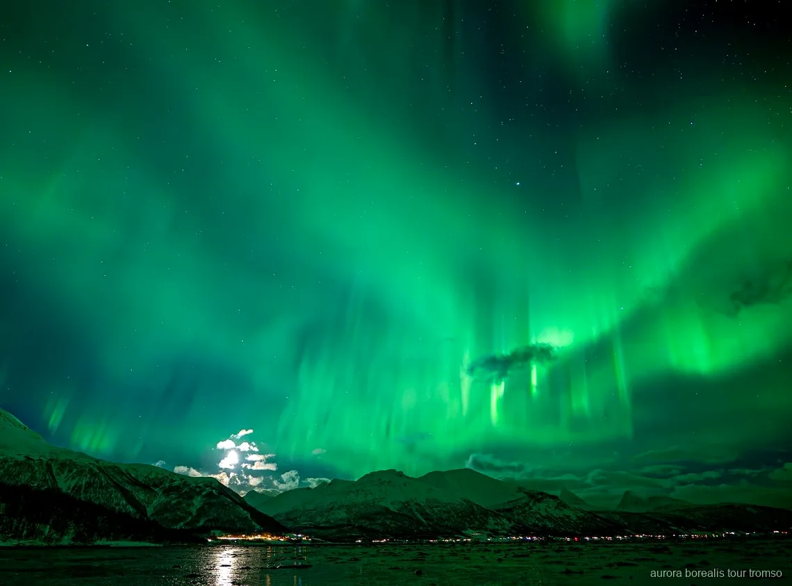 Portrait taken under the Northern Lights on the Tromso family-run minibus tour