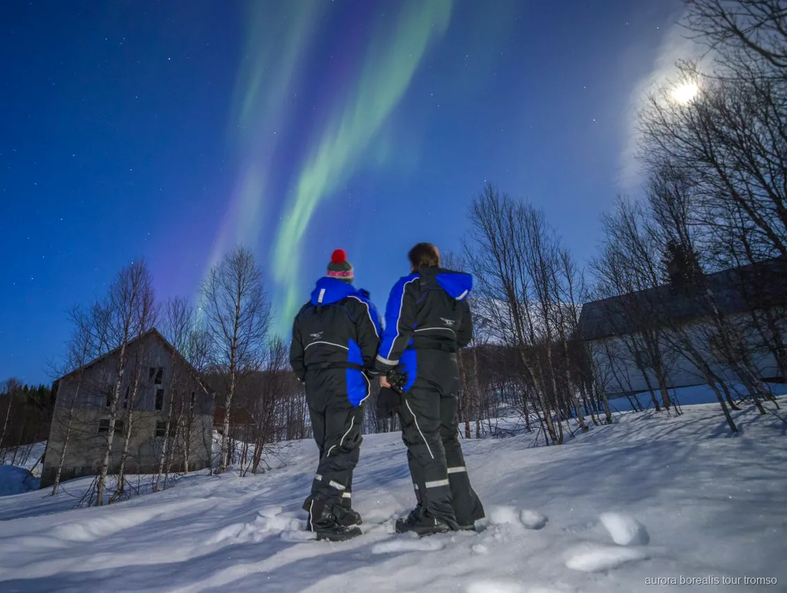 Aurora borealis seen from the basecamp on the Tromso glass bus tour