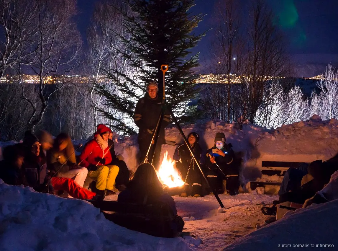Husky puppies at the camp featured on the Tromso Northern Lights tour