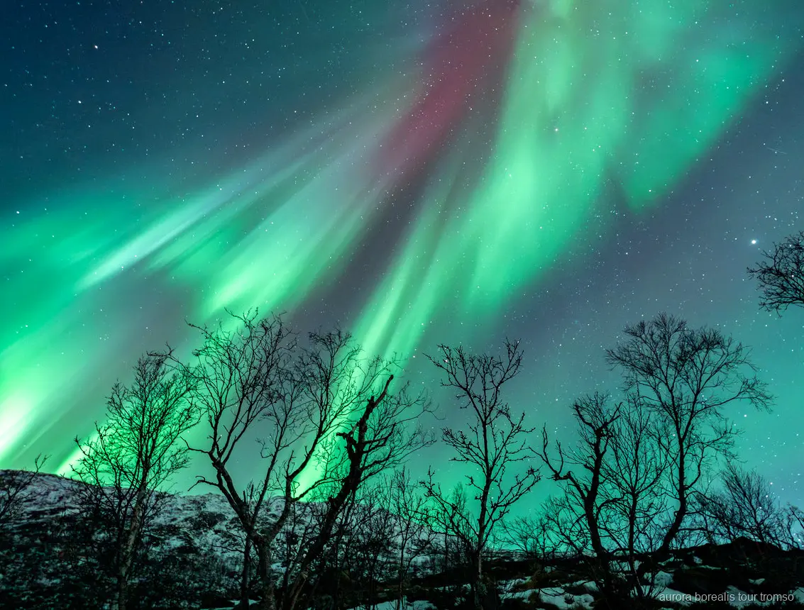 Guests photographing the Northern Lights with guide instruction near Tromso