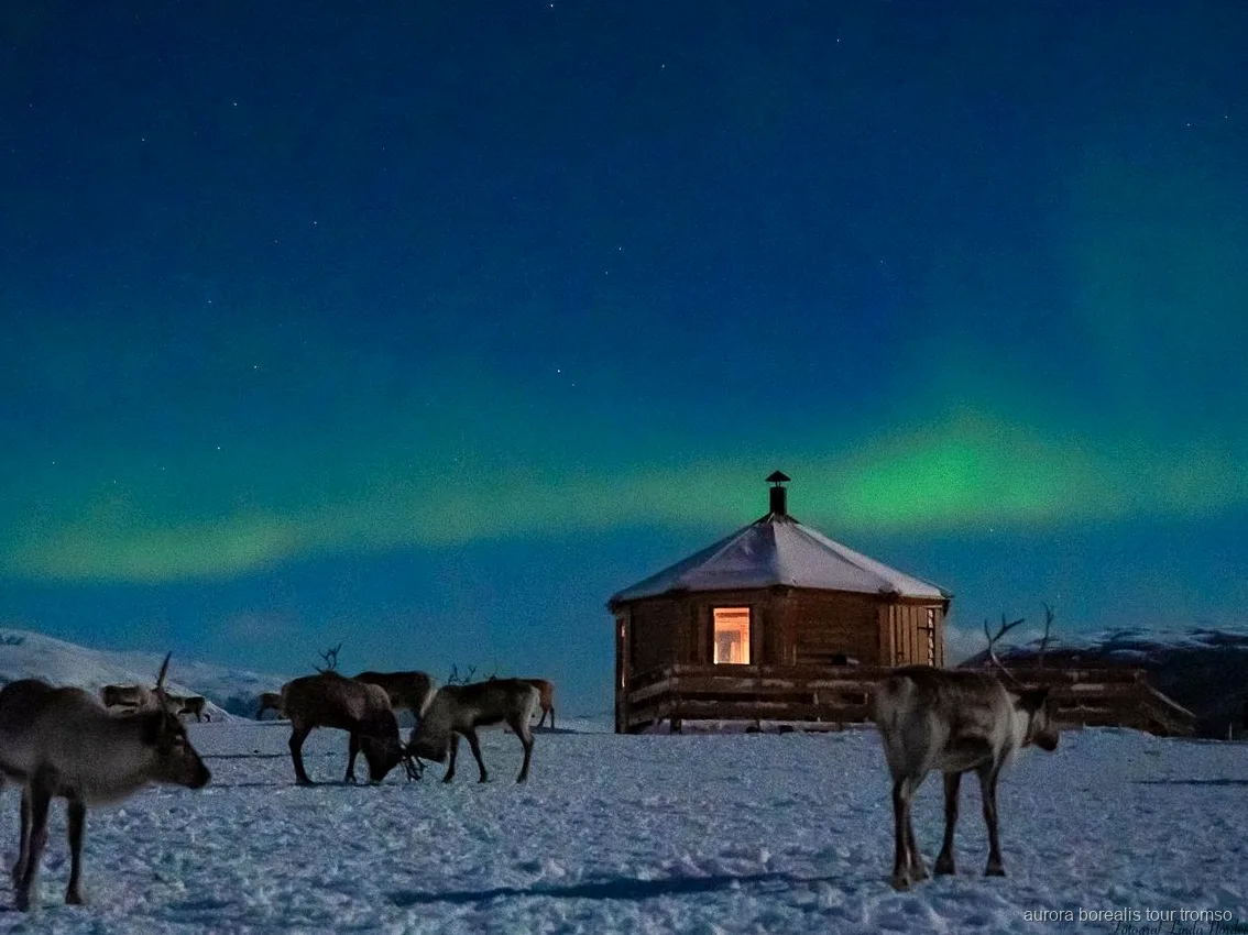 Candle-lit gamme used for warming up on the Tromso reindeer sled tour