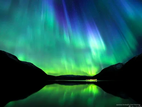 Small group minibus on the Tromso aurora chase tour at night