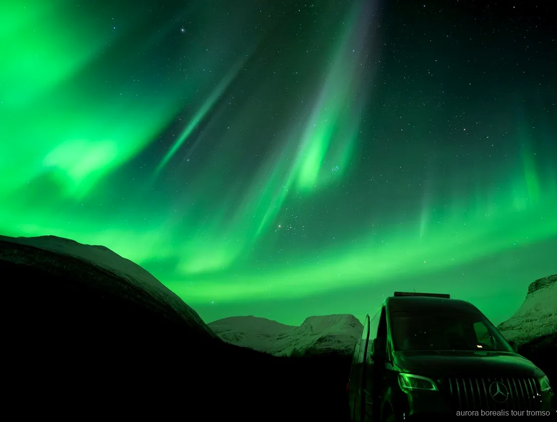 Minibus Mercedes Sprinter używany na rodzinnej wycieczce na zorzę polarną w Tromso